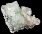 Zoned Apophyllite Crystals with Stilbite - India #44424-1